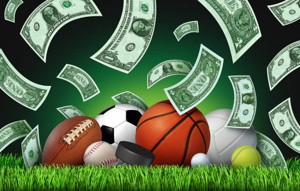 Discover the Excitement of Kiwi Bet Your Ultimate Betting Destination